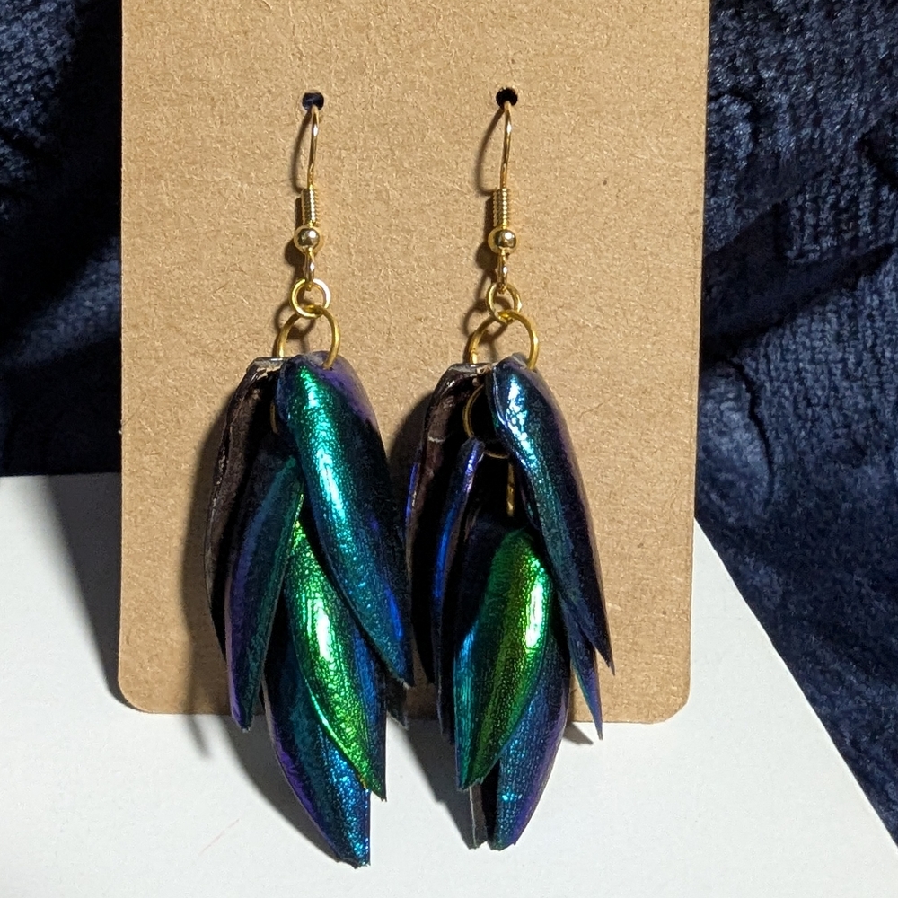 Iridescent Beetle Wing Drop Earrings